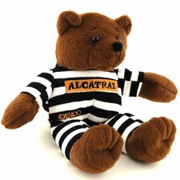 San Francisco Alcatraz Reject Brown Plush Bear