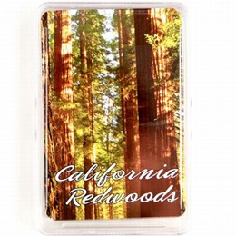 California Redwoods Photo Playing Cards