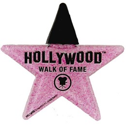 Hollywood Walk of Fame II Acrylic Star Clip Magnet