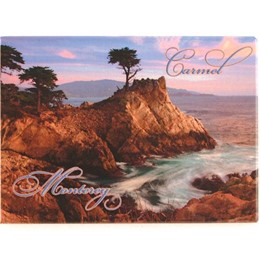 Monterey-Carmel Cypress Photo Magnet