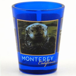 Monterey Photo Grid Shotglass