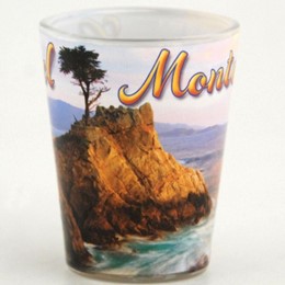 Monterey/Carmel Cypress Photo Shotglass