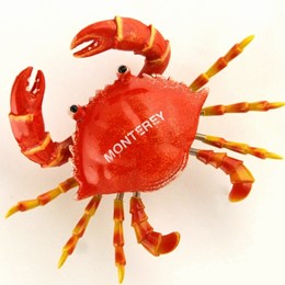 Monterey Wiggle Crab 3" Magnet