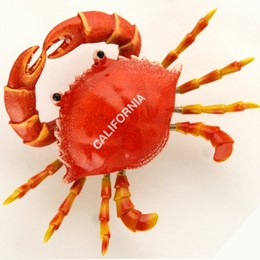 California Wiggle Crab 3" Magnet