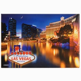 Las Vegas Pond/Reflection 2x3 Magnet