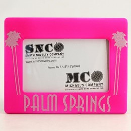 Palm Springs Pink Spray Frame