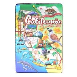 CA (R)  MAP SHEEN EPOXY RECT MAGNET (H) 60692