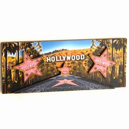Hollywood Walk Of Fame Palms 3-D Magnet