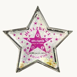 Hollywood Walk Of Fame Pink Paperweight