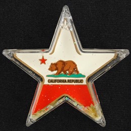 California Bear Starshape Acrylic Float Magnet